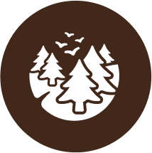 Forest Icon